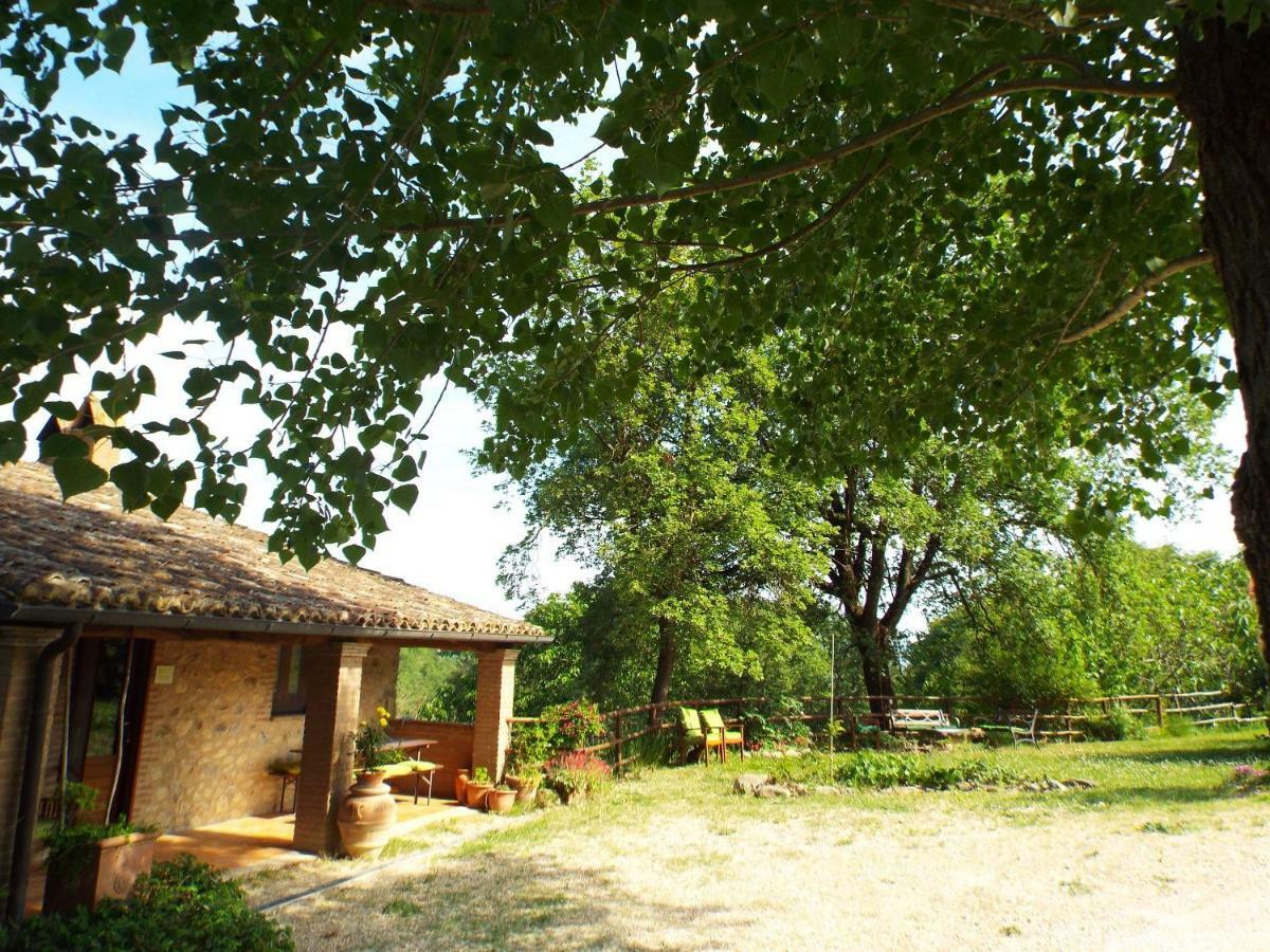 Agriturismo Frallarenza Ficulle المظهر الخارجي الصورة