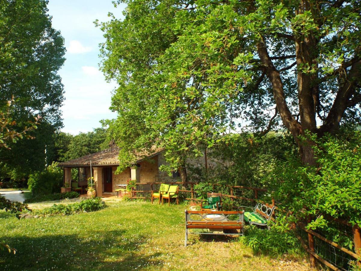 Agriturismo Frallarenza Ficulle المظهر الخارجي الصورة