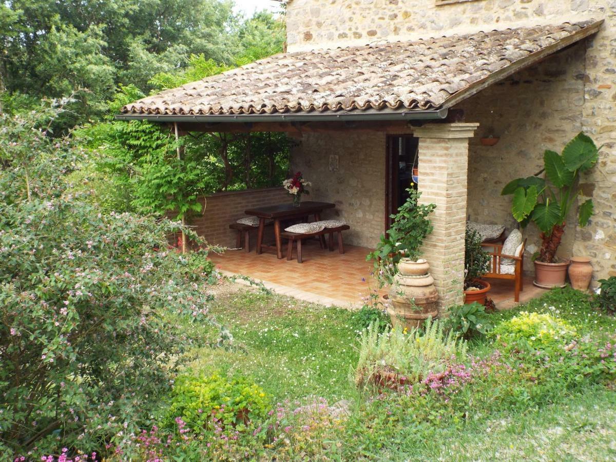 Agriturismo Frallarenza Ficulle المظهر الخارجي الصورة