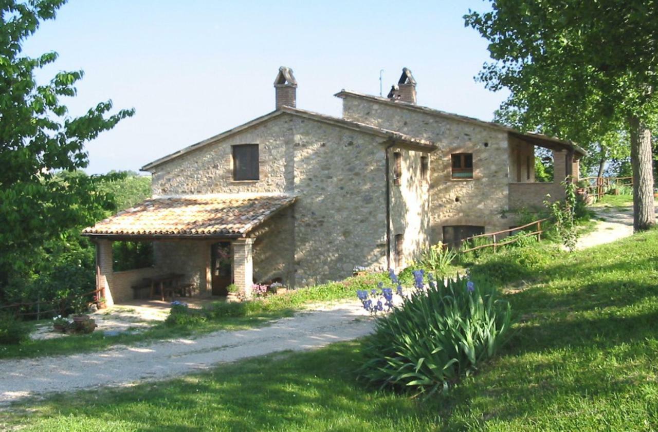Agriturismo Frallarenza Ficulle المظهر الخارجي الصورة