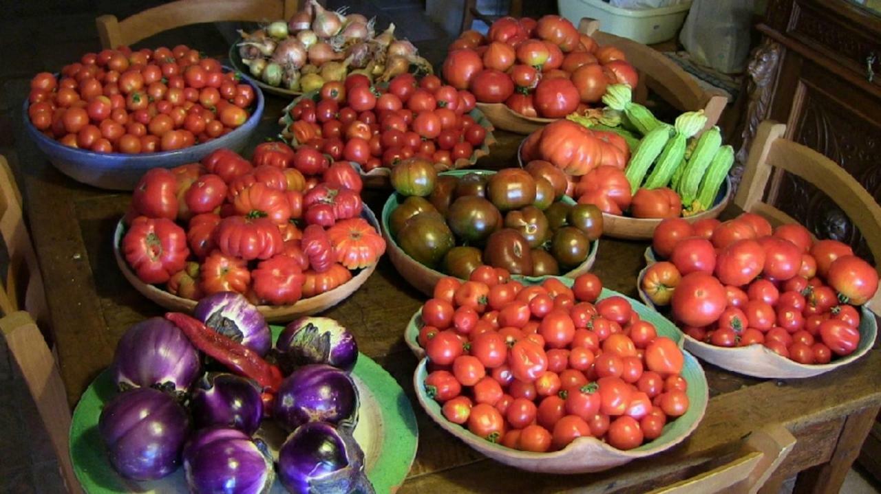 Agriturismo Frallarenza Ficulle المظهر الخارجي الصورة