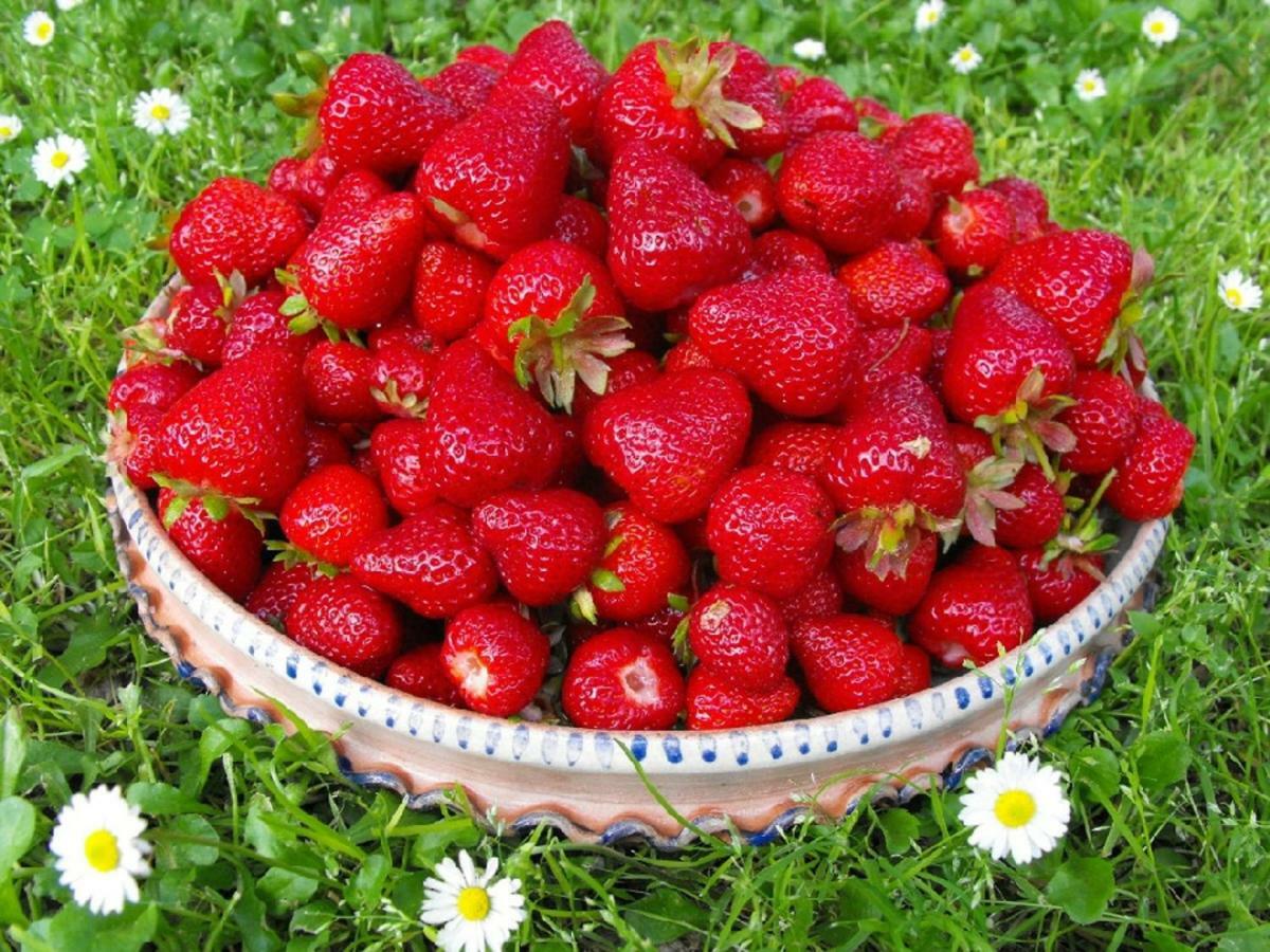 Agriturismo Frallarenza Ficulle المظهر الخارجي الصورة