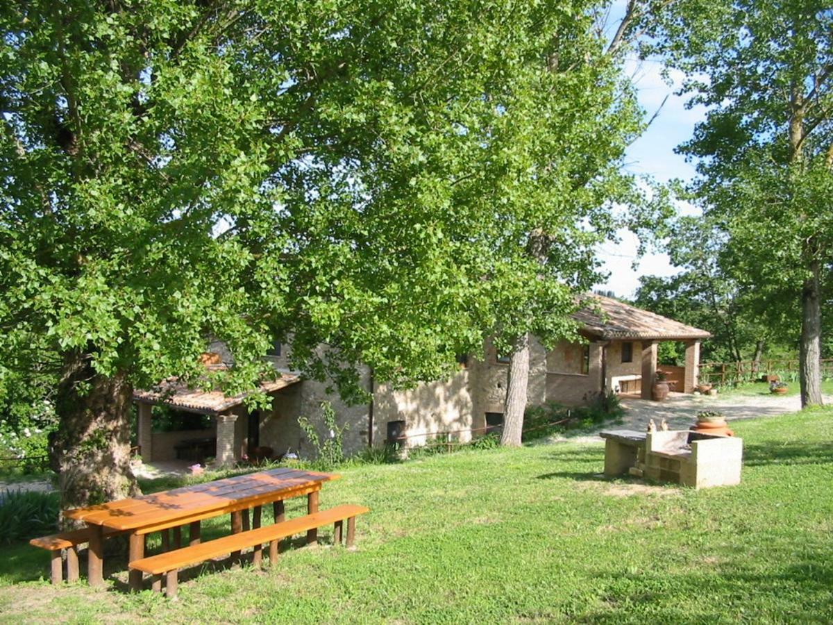 Agriturismo Frallarenza Ficulle المظهر الخارجي الصورة