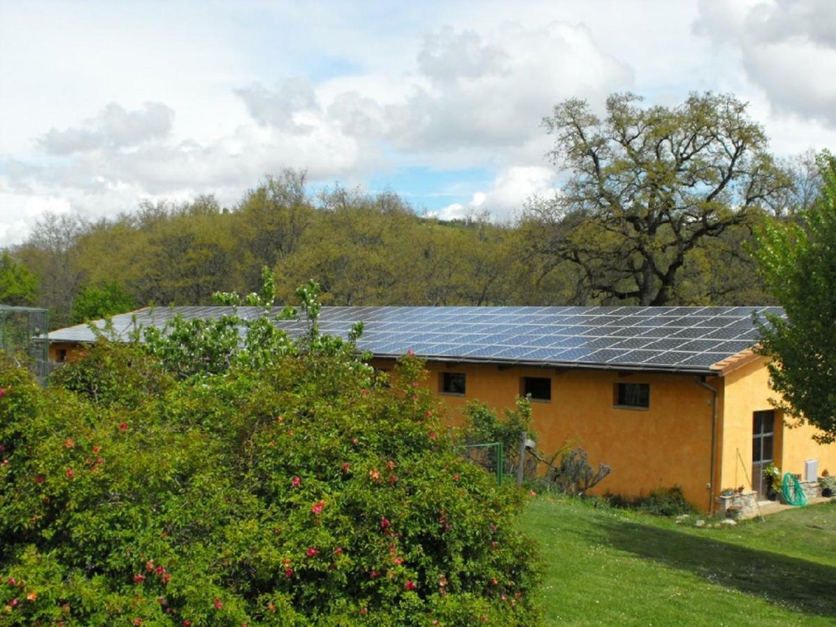 Agriturismo Frallarenza Ficulle المظهر الخارجي الصورة