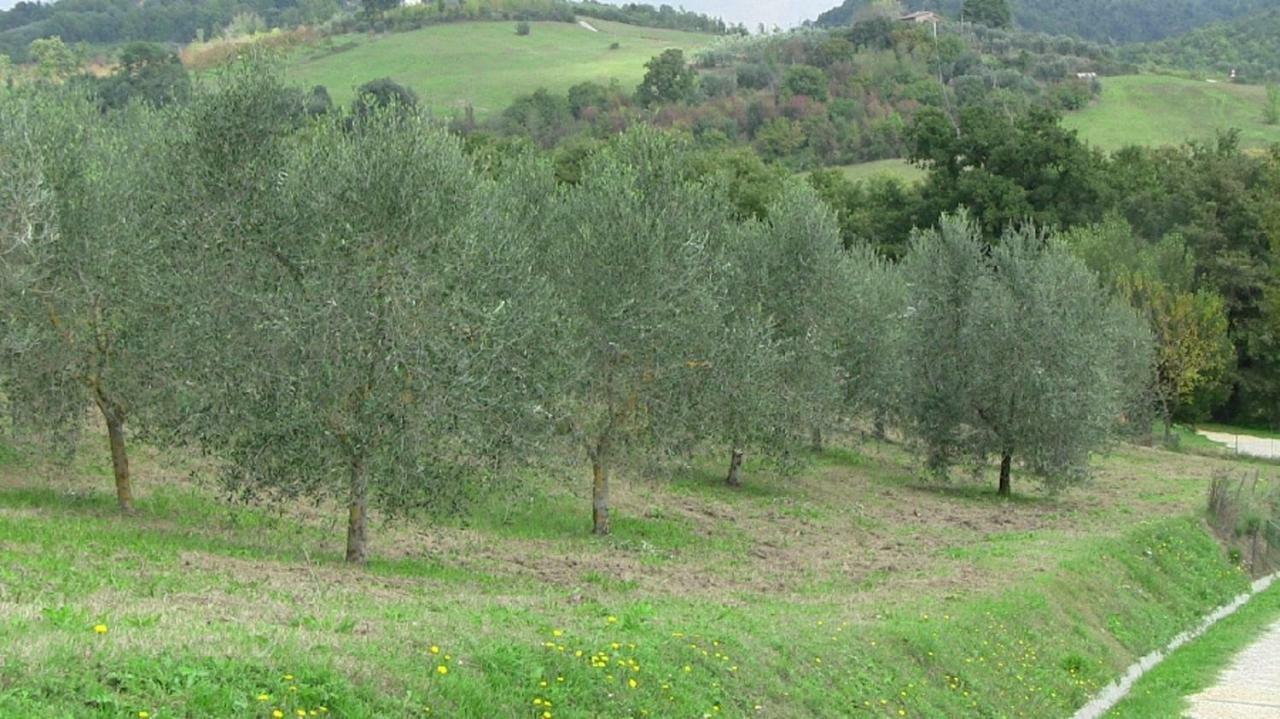 Agriturismo Frallarenza Ficulle المظهر الخارجي الصورة