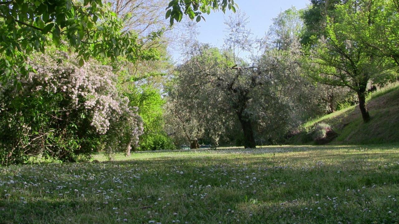 Agriturismo Frallarenza Ficulle المظهر الخارجي الصورة