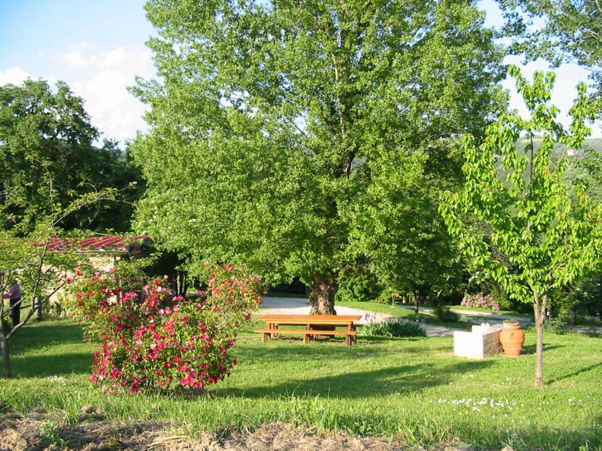 Agriturismo Frallarenza Ficulle المظهر الخارجي الصورة