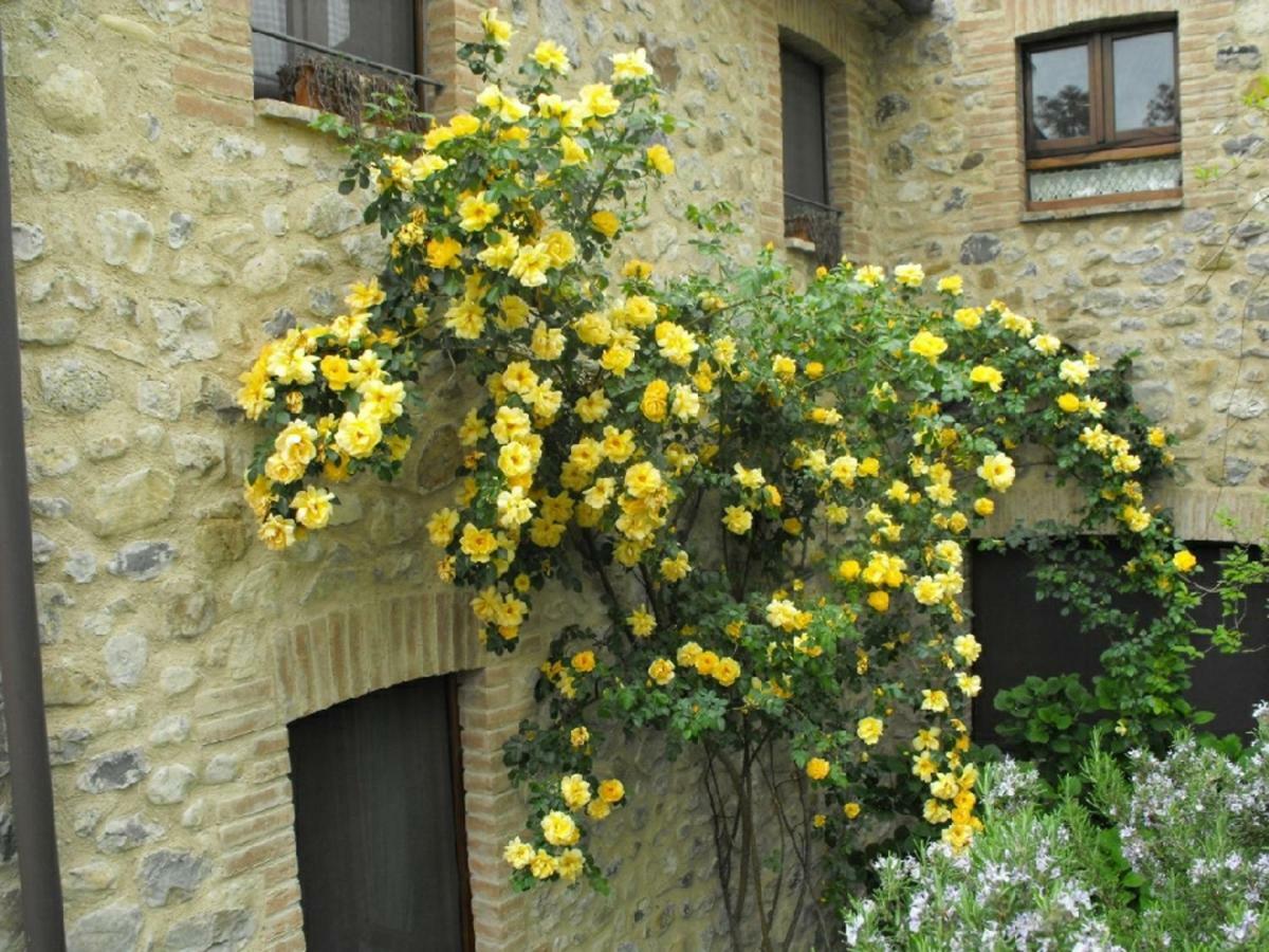 Agriturismo Frallarenza Ficulle المظهر الخارجي الصورة