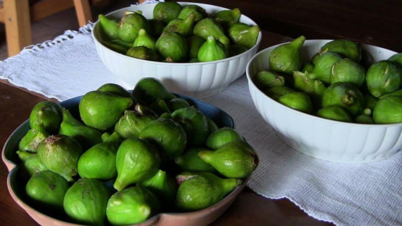 Agriturismo Frallarenza Ficulle المظهر الخارجي الصورة